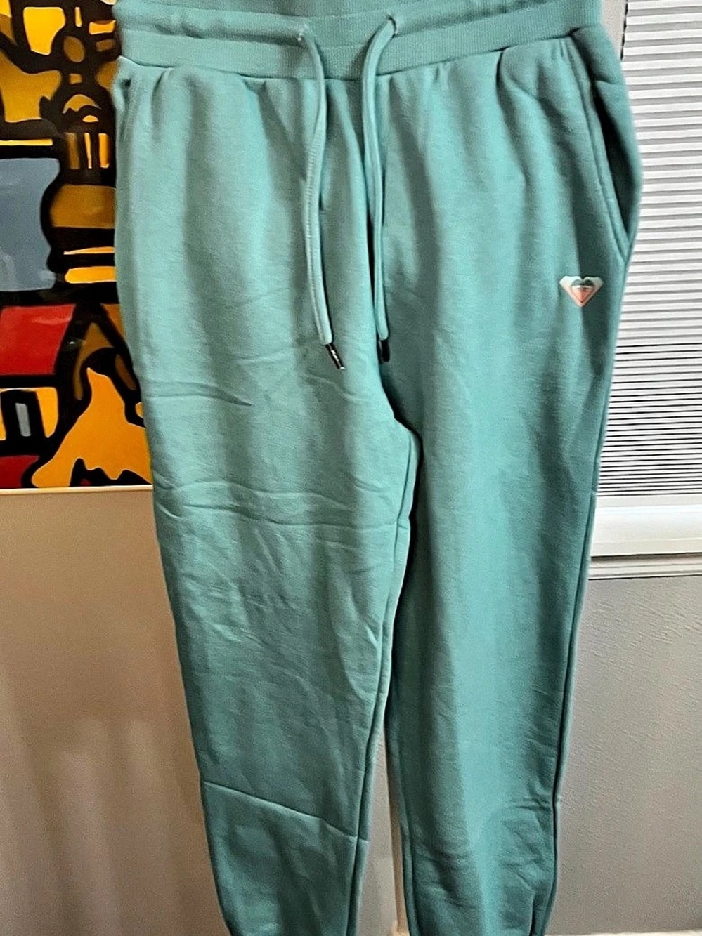 Roxy Cozy Jogger Women Pants in Green blue Size Small NWT